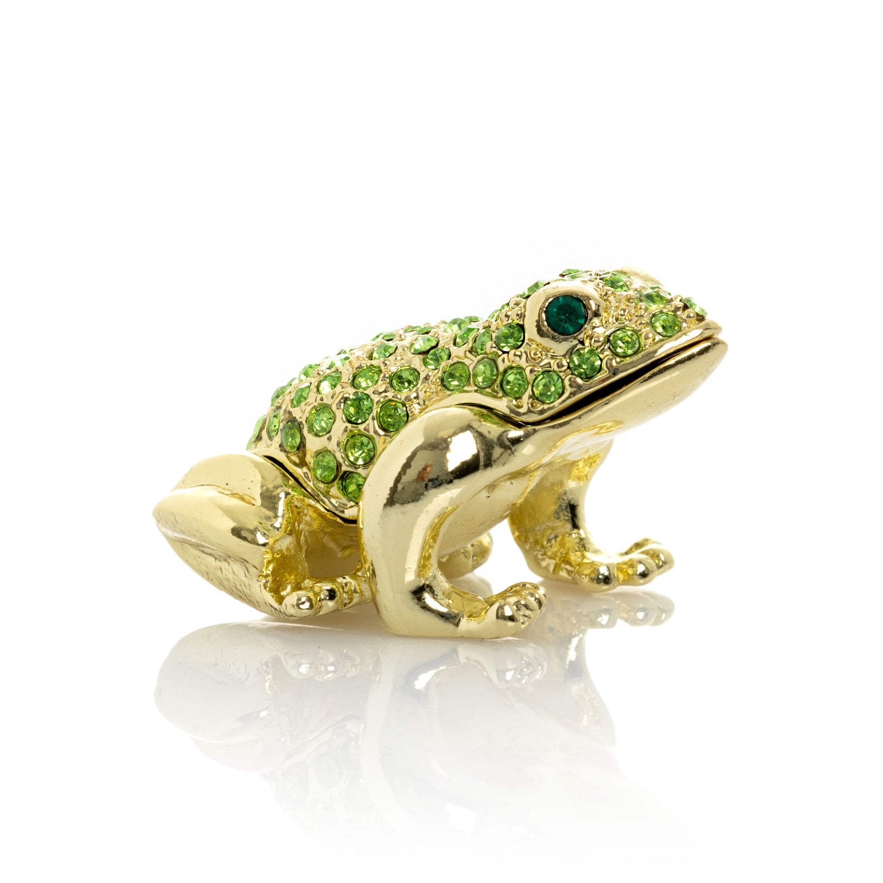 Green and Gold Sitting Toad
