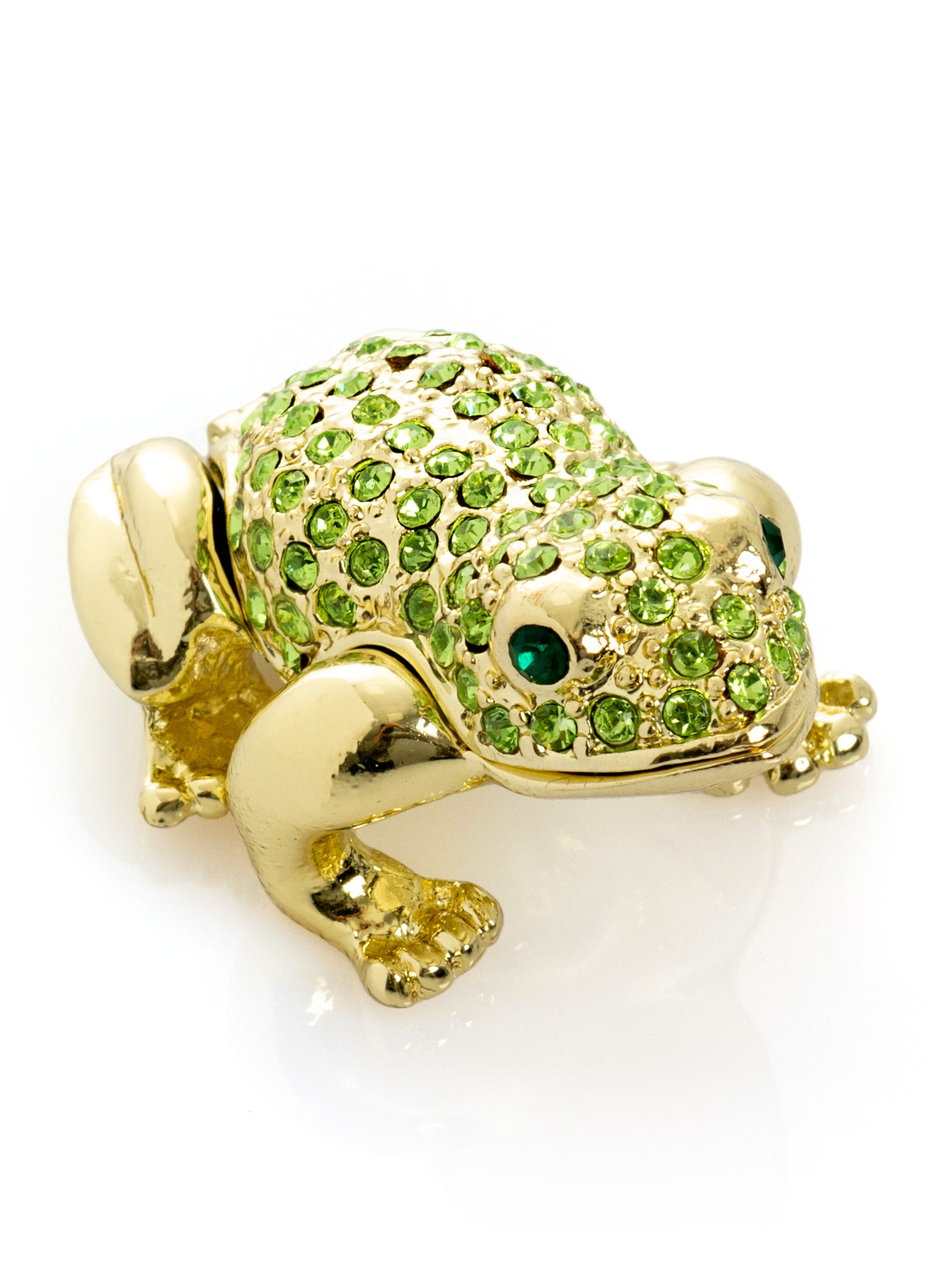 Green and Gold Sitting Toad