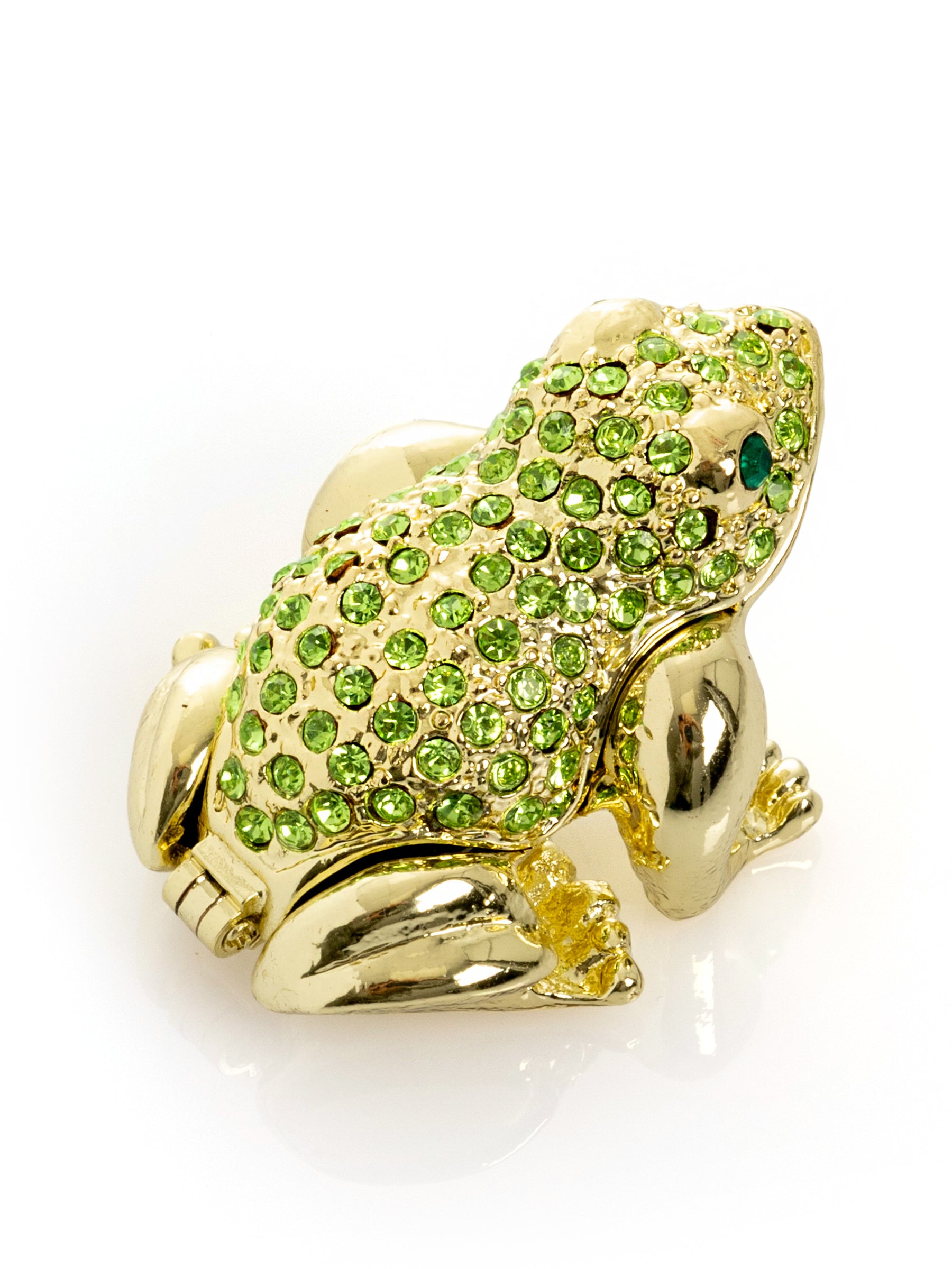 Green and Gold Sitting Toad