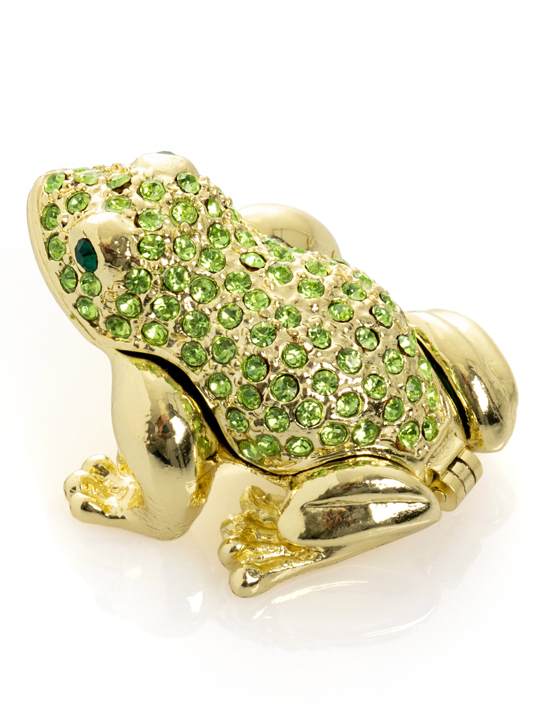 Green and Gold Sitting Toad