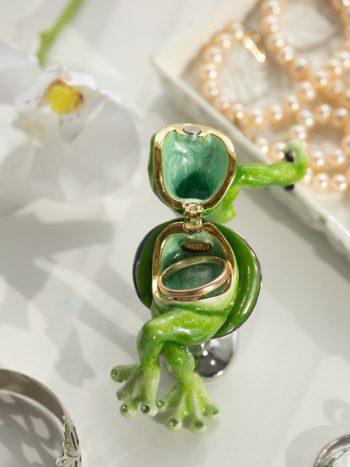 Keren Kopal Frog Taking a Selfie Trinket Box