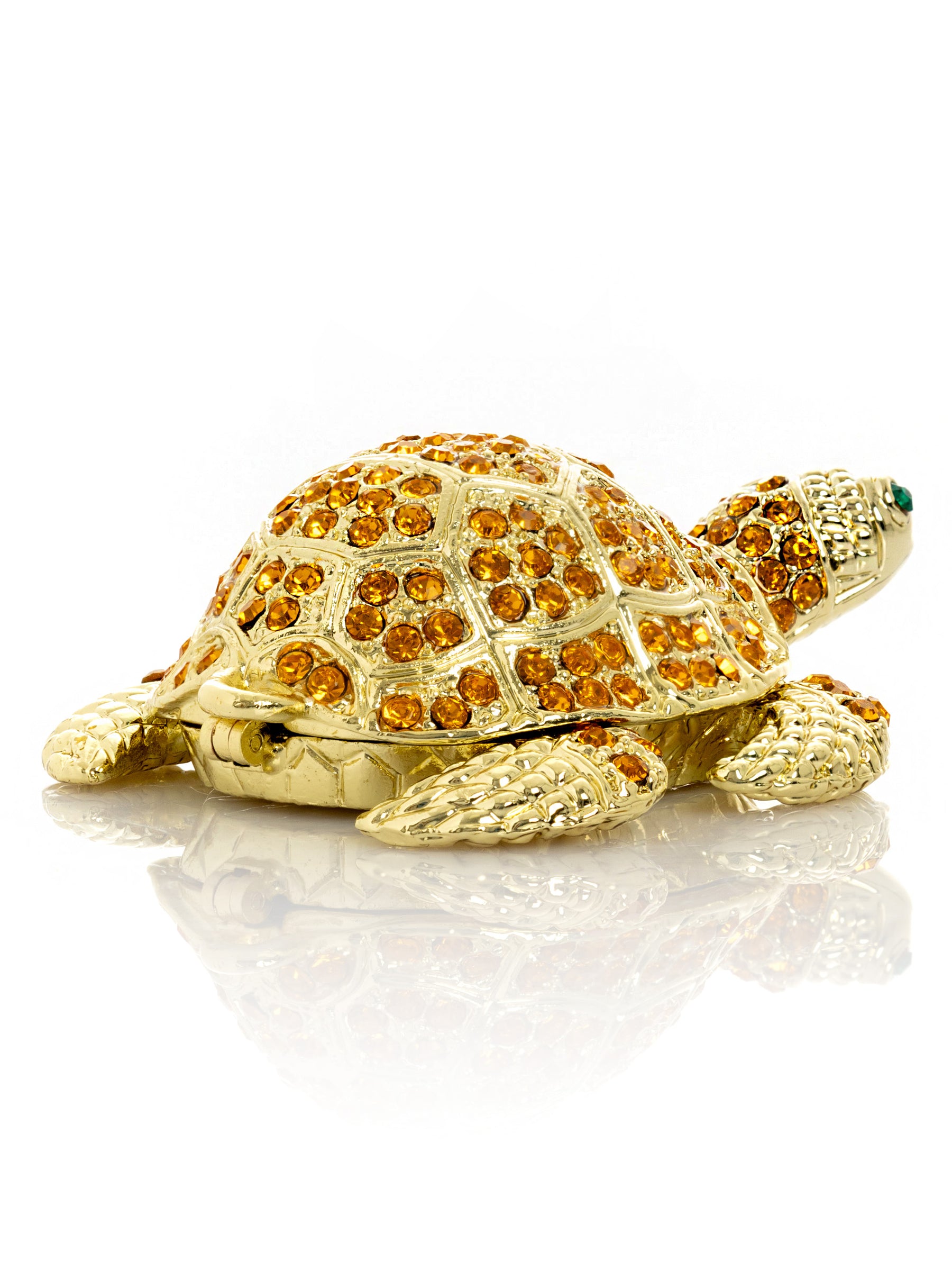 Golden Turtle