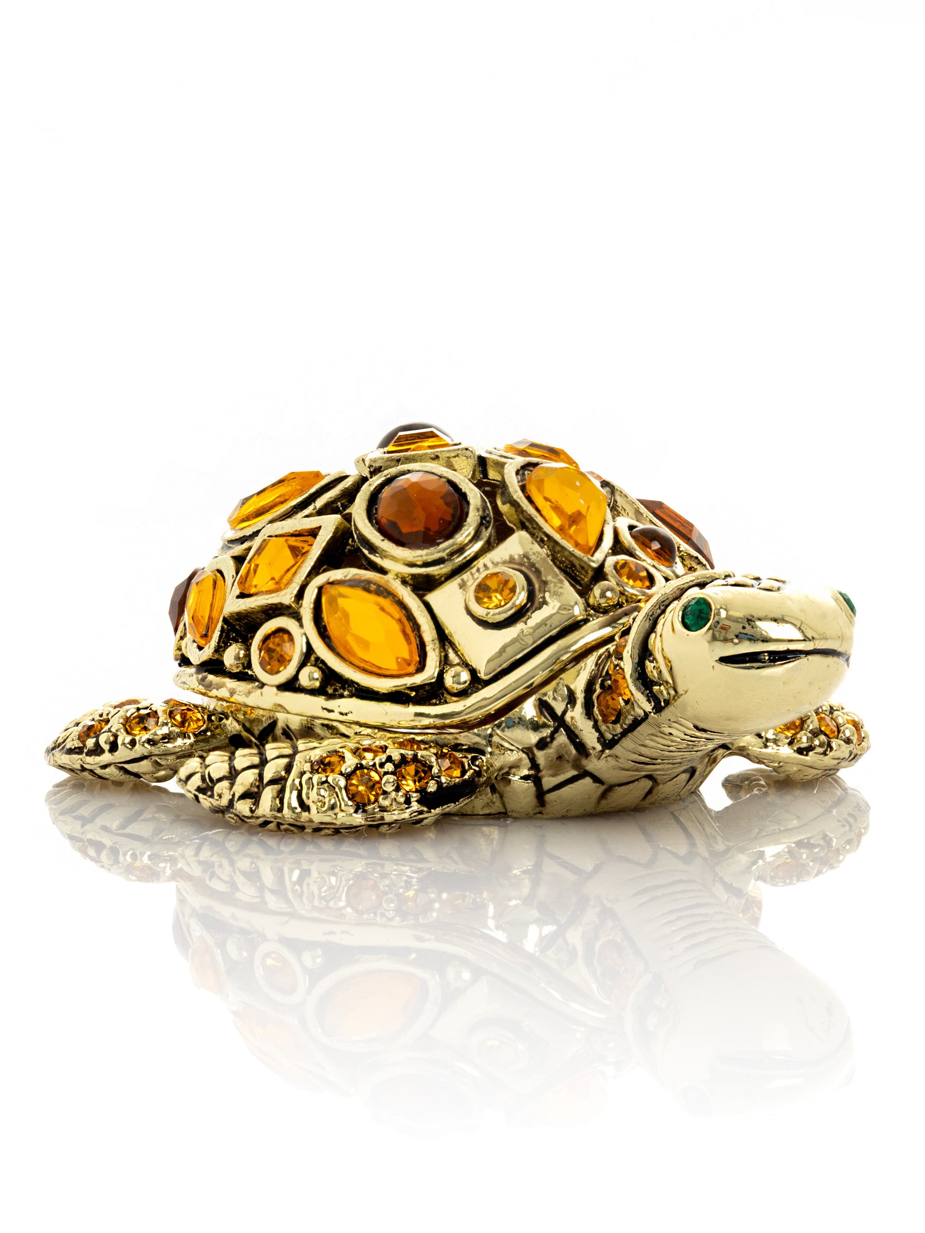Tortue dorée