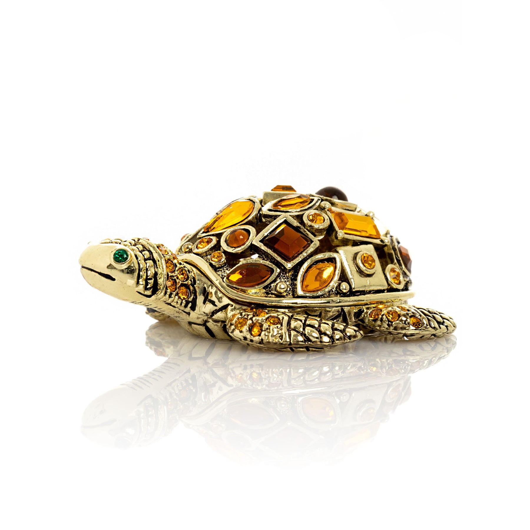Tortue dorée