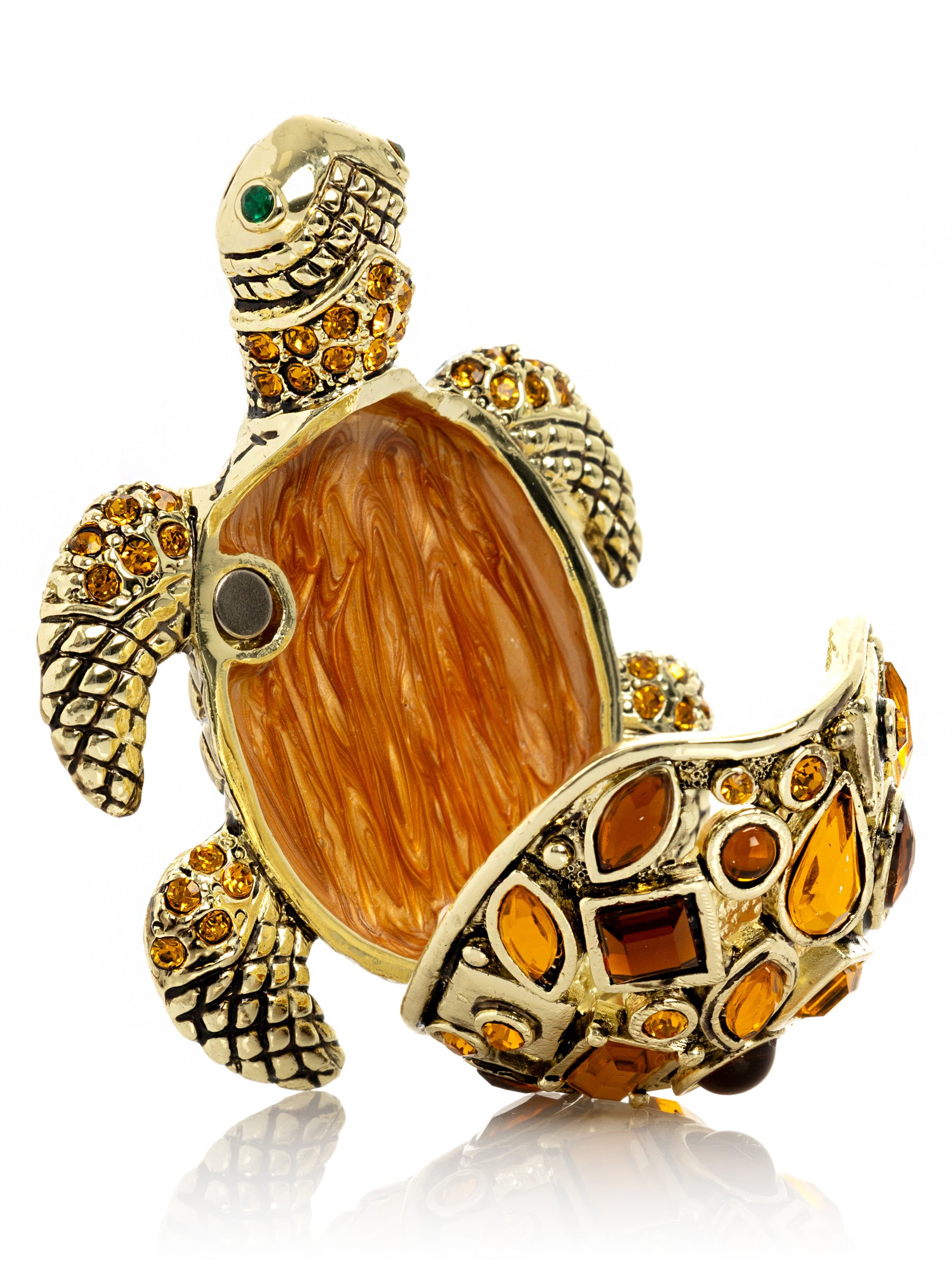 Tortue dorée