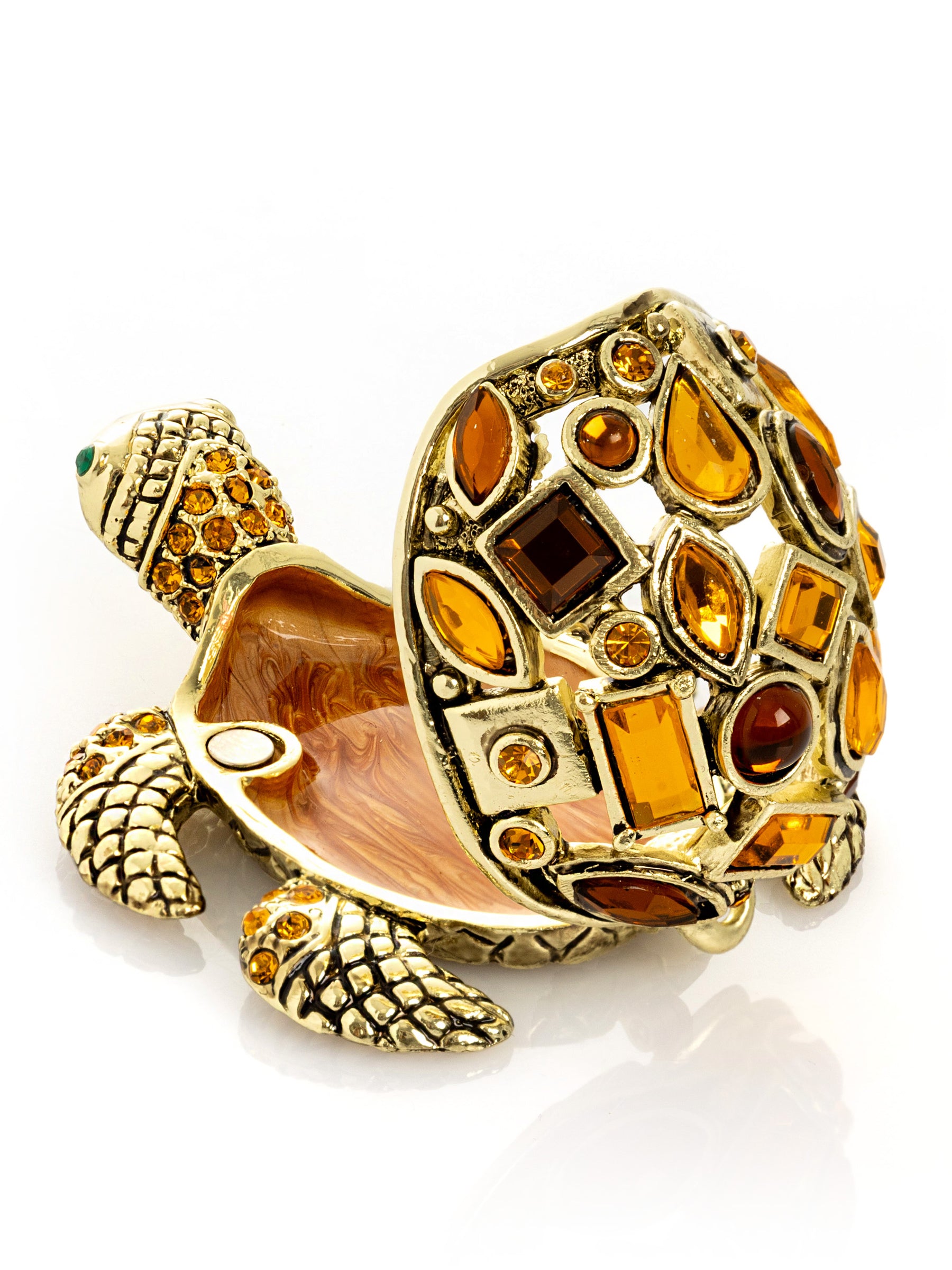 Tortue dorée
