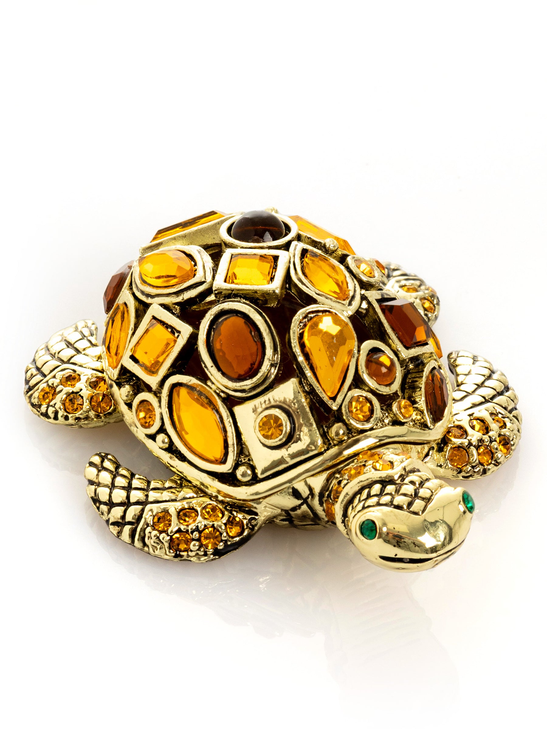 Tortue dorée