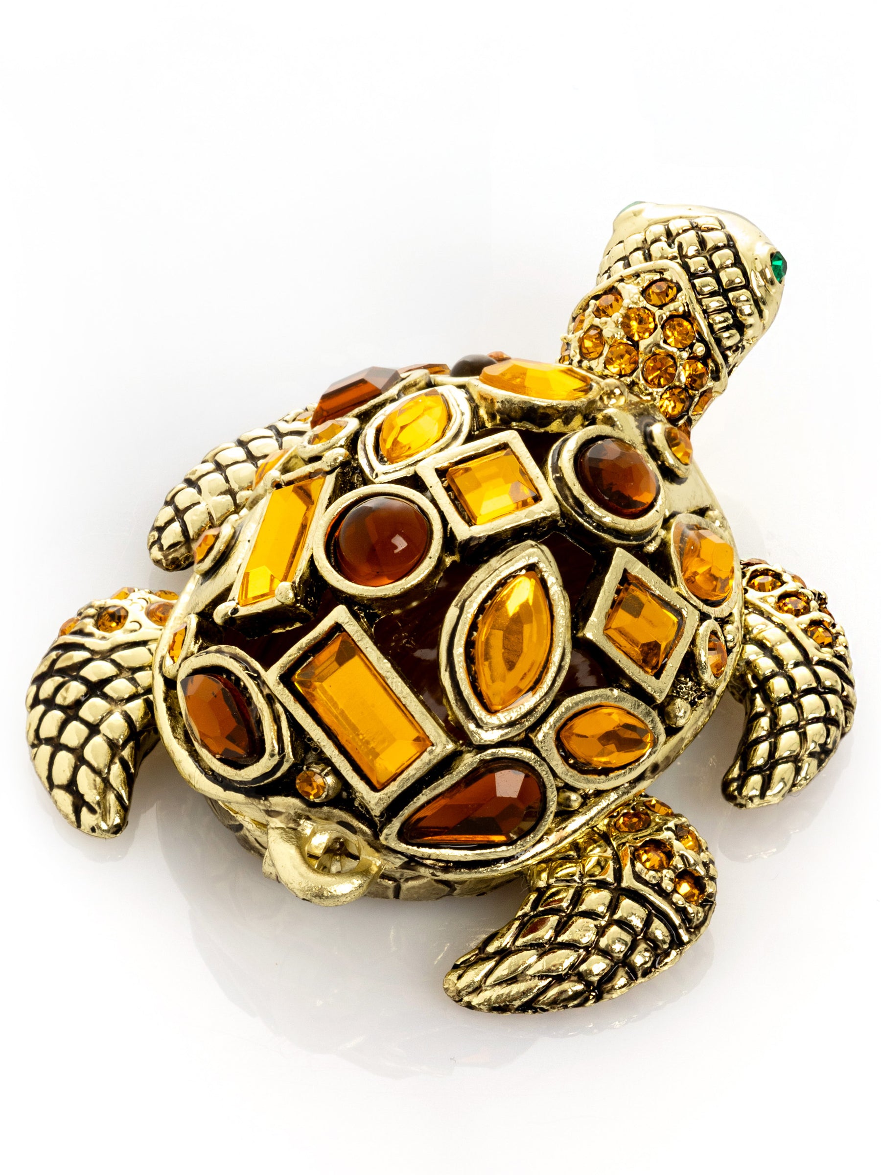 Tortue dorée