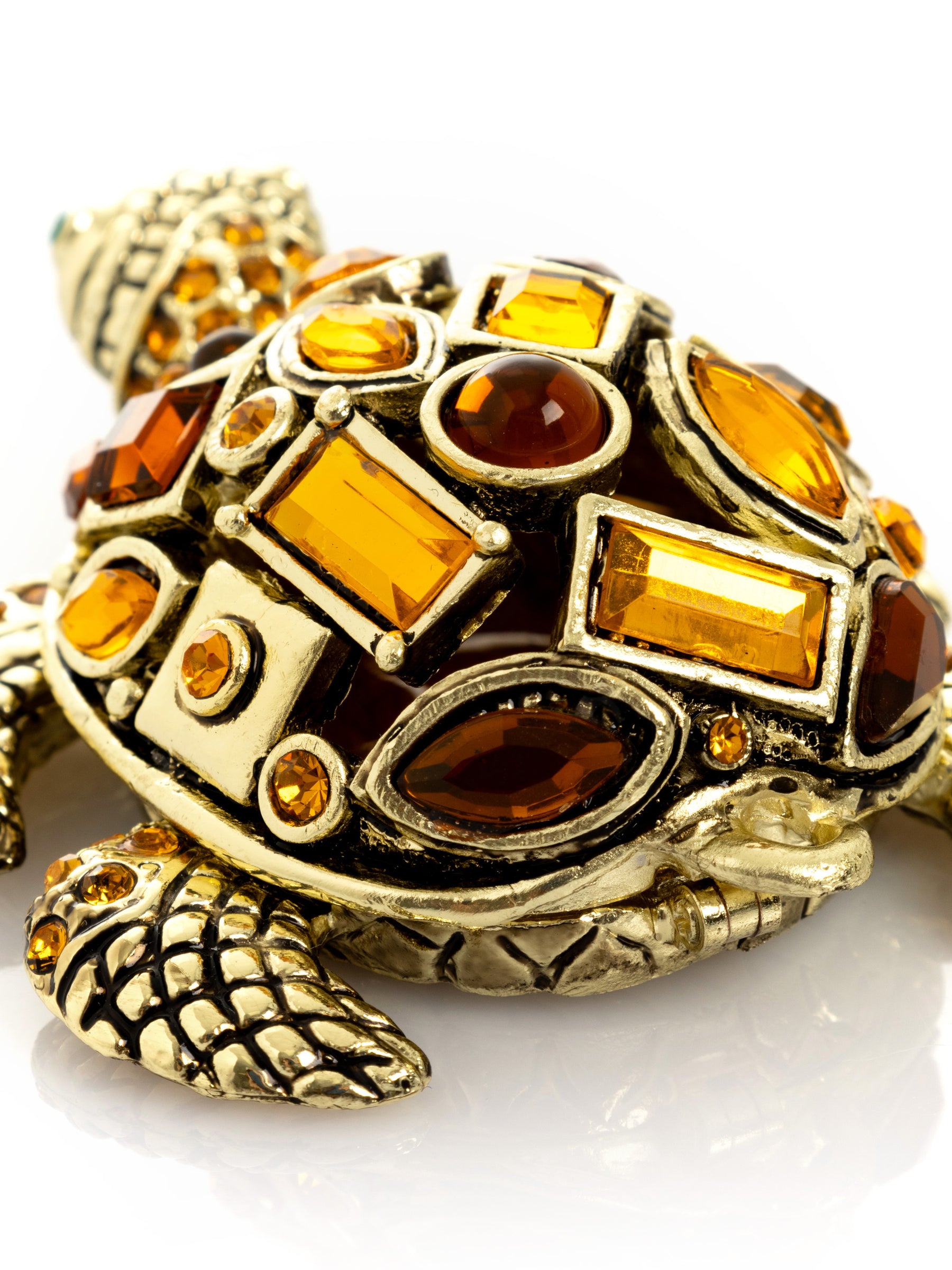 Tortue dorée