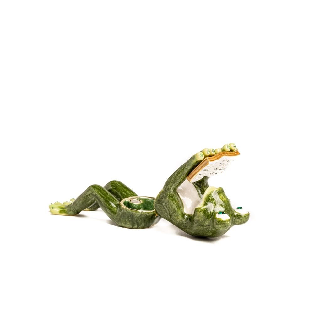 Keren Kopal Frog Reading a Book