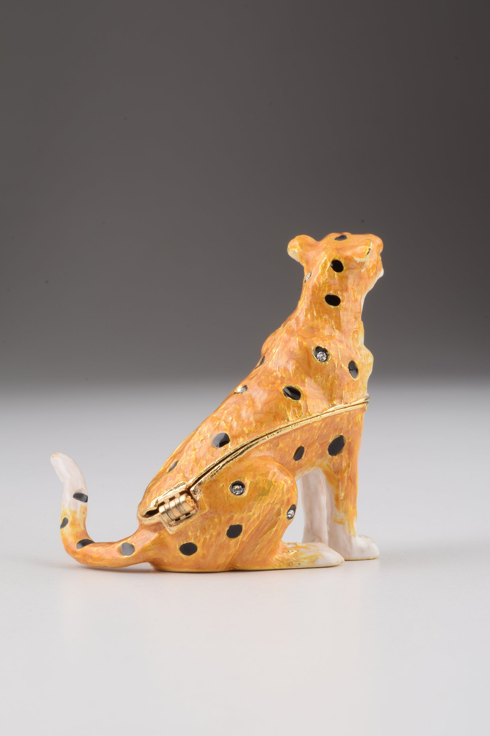 Keren Kopal Brown Lioness