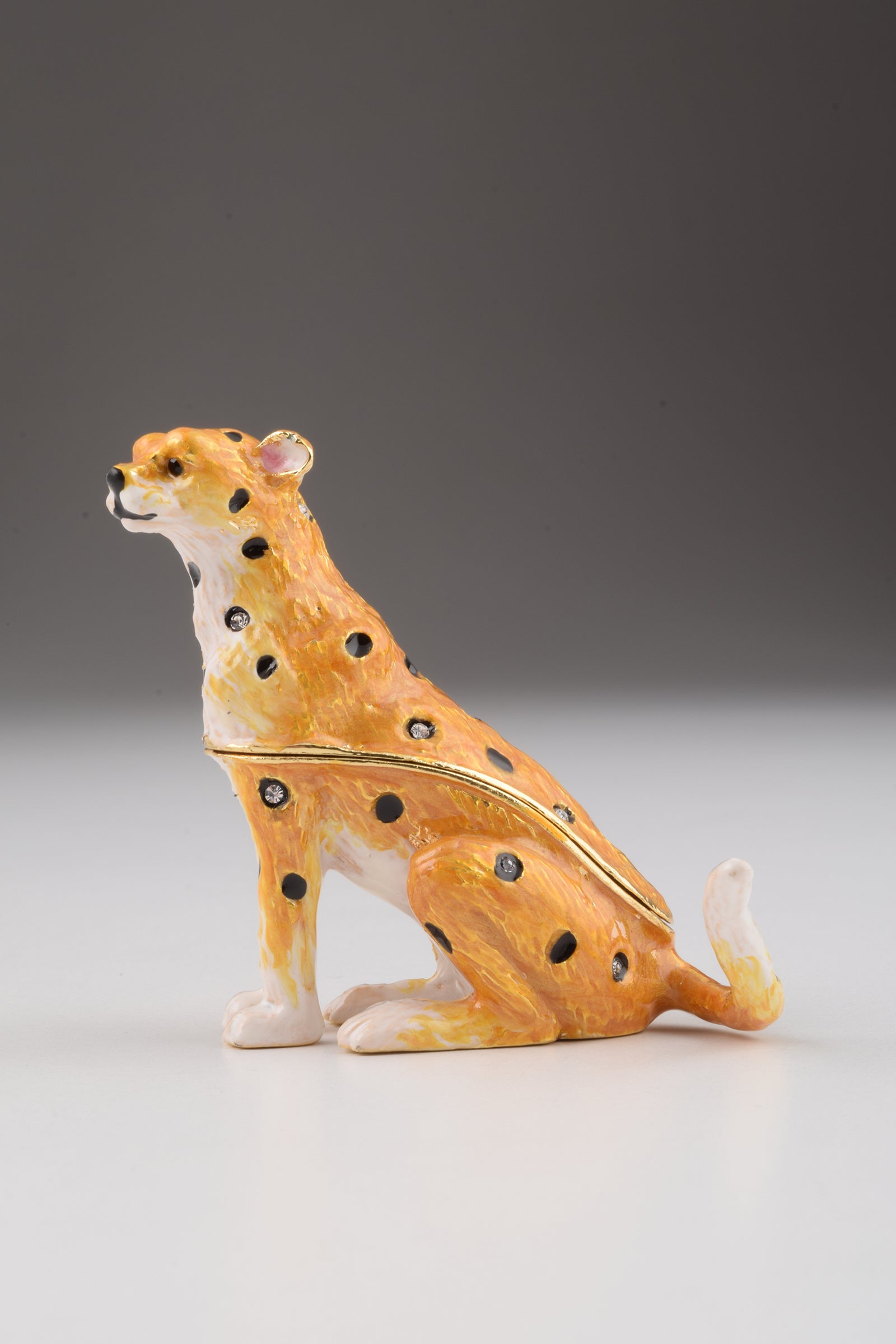 Keren Kopal Brown Lioness