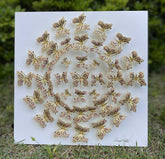 Keren Kopal Circle of Butterflies Wall Art White