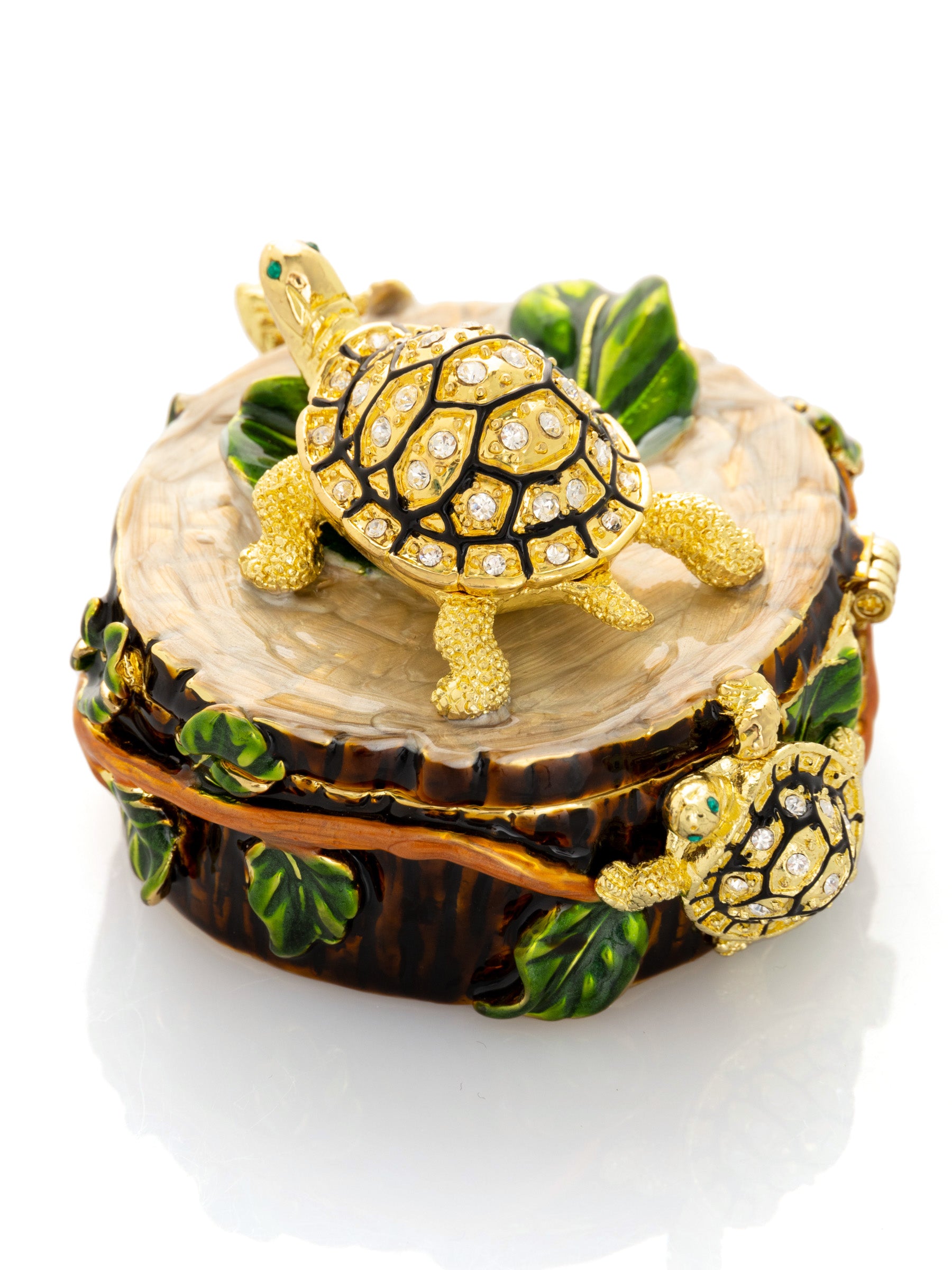 Keren Kopal Turtles on Tree Trunk