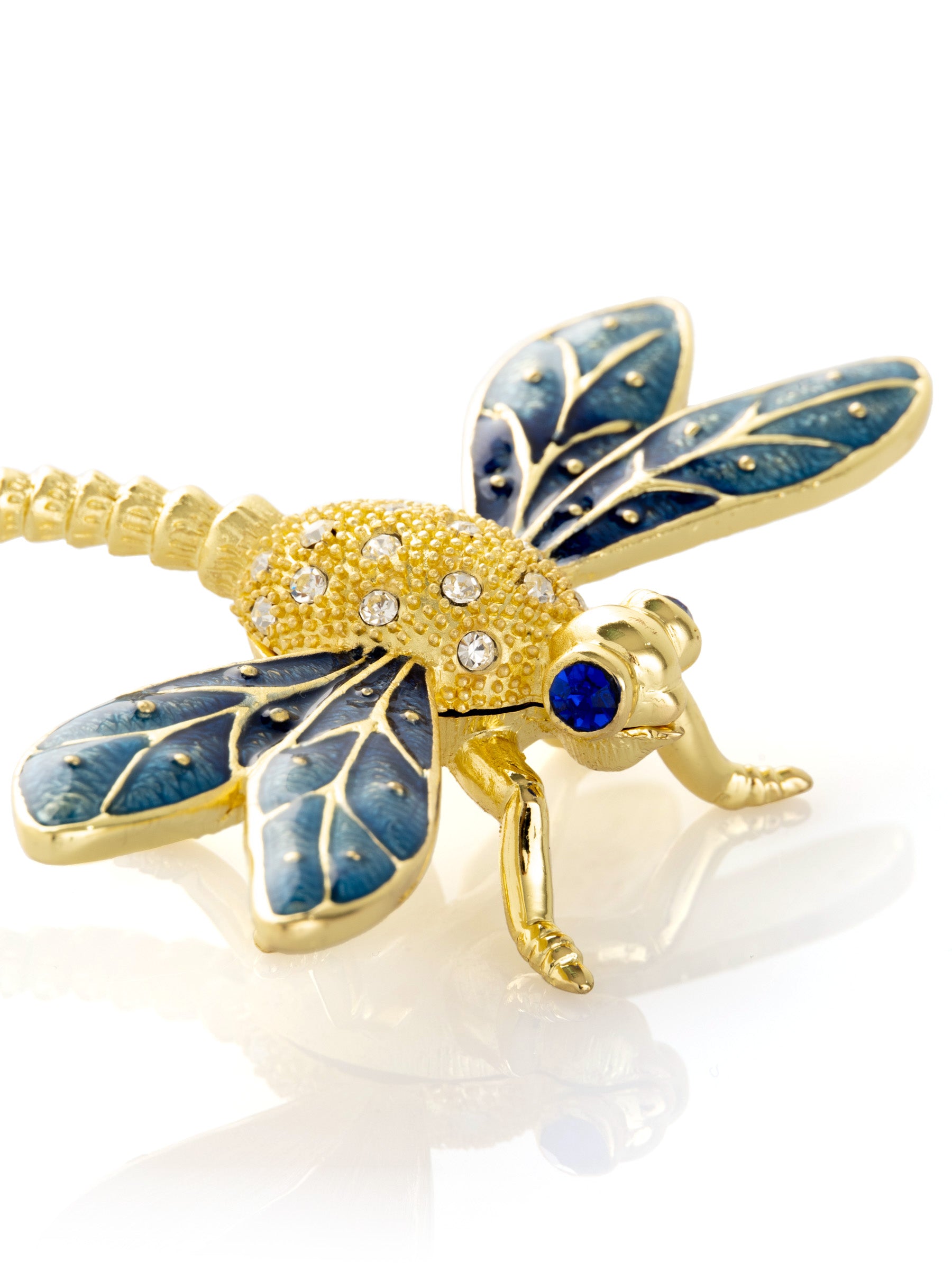 Golden Blue Dragonfly