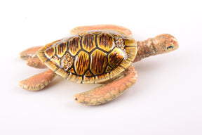 Keren Kopal Brown Sea Turtle