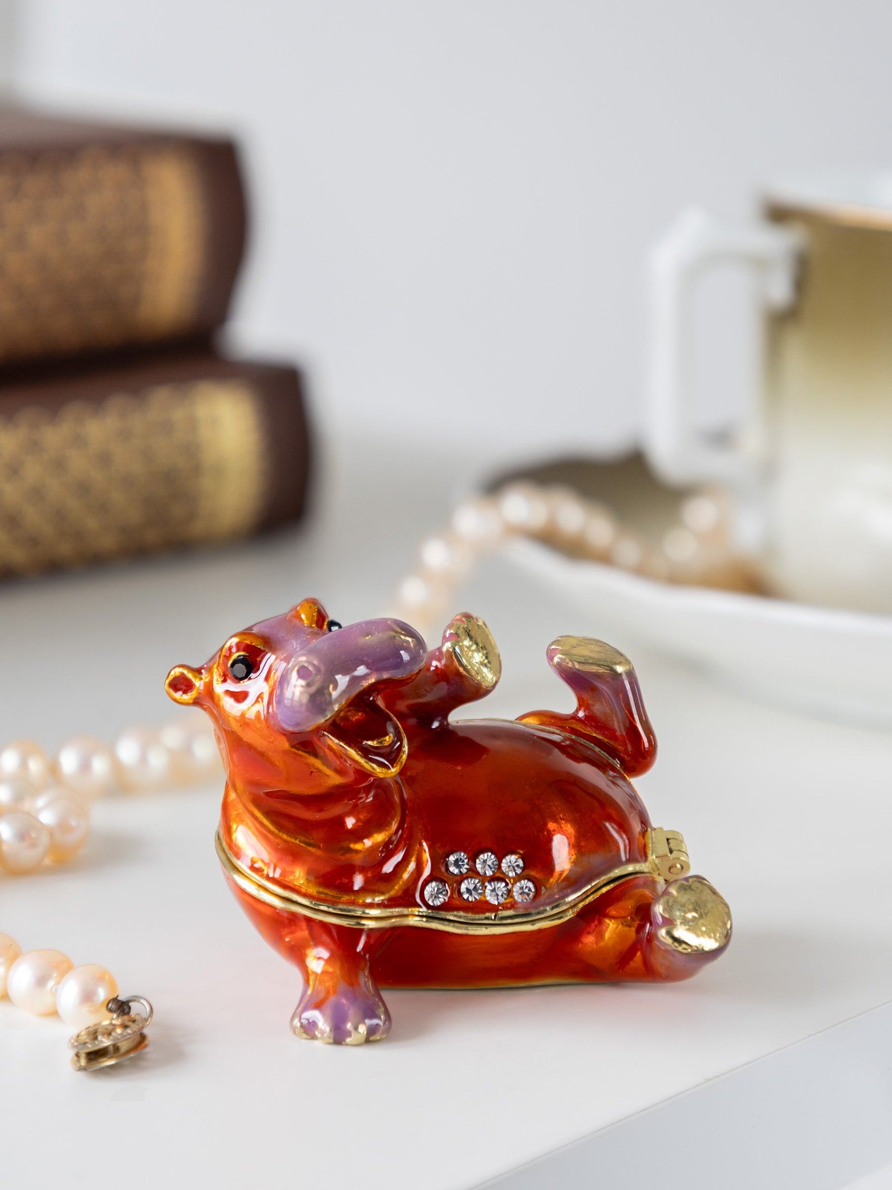 Hippo heureux posé sur le dos