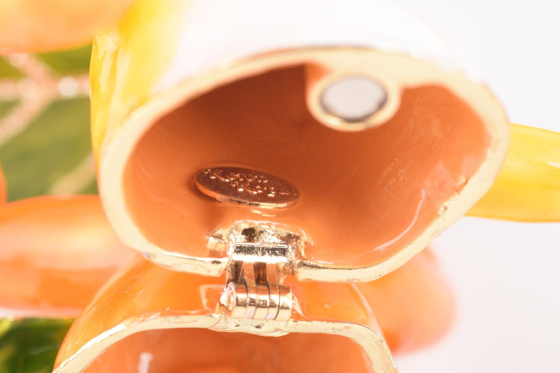 Keren Kopal Frog Playing on Keyboards