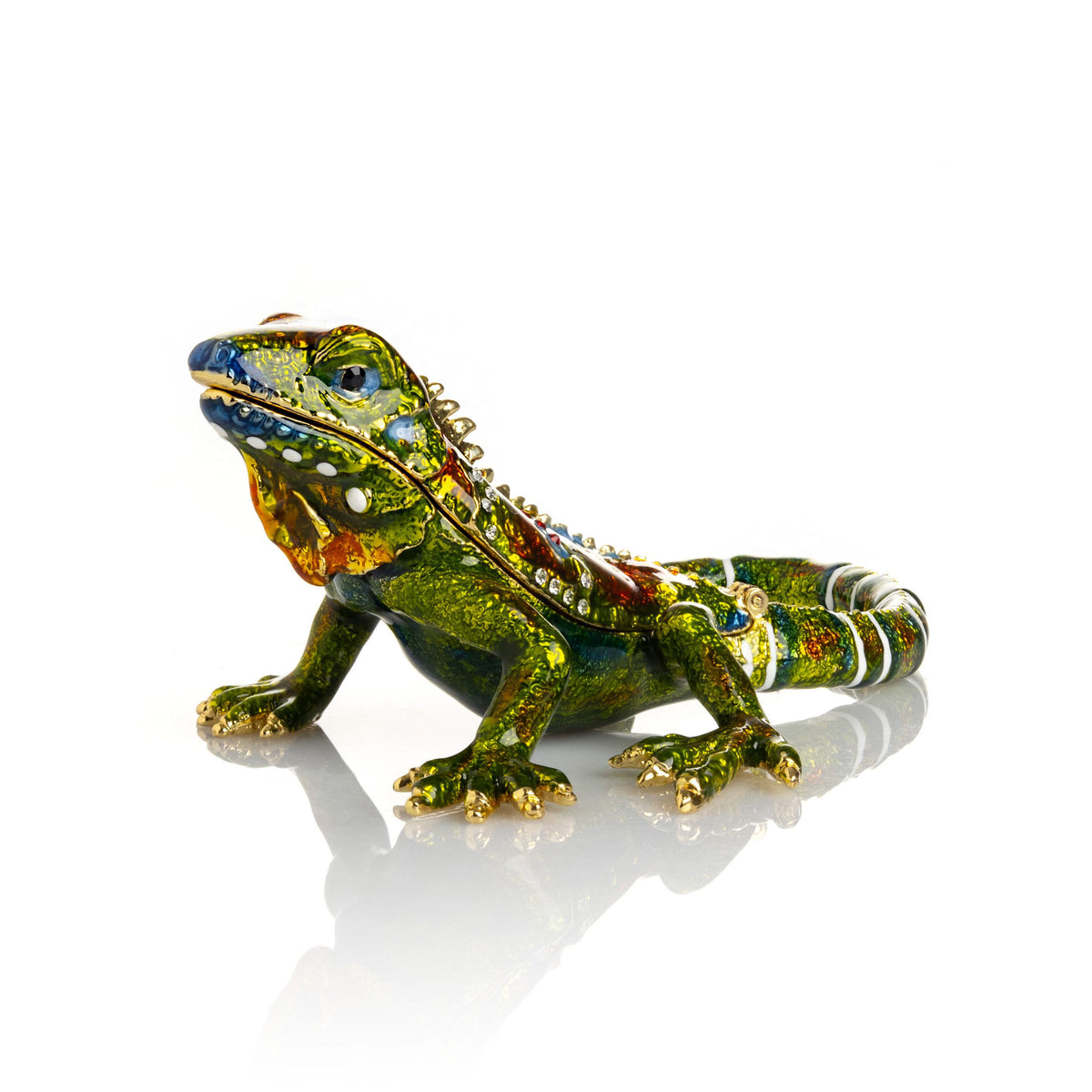 Green Iguana