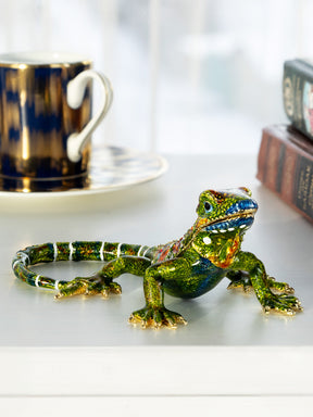 Green Iguana