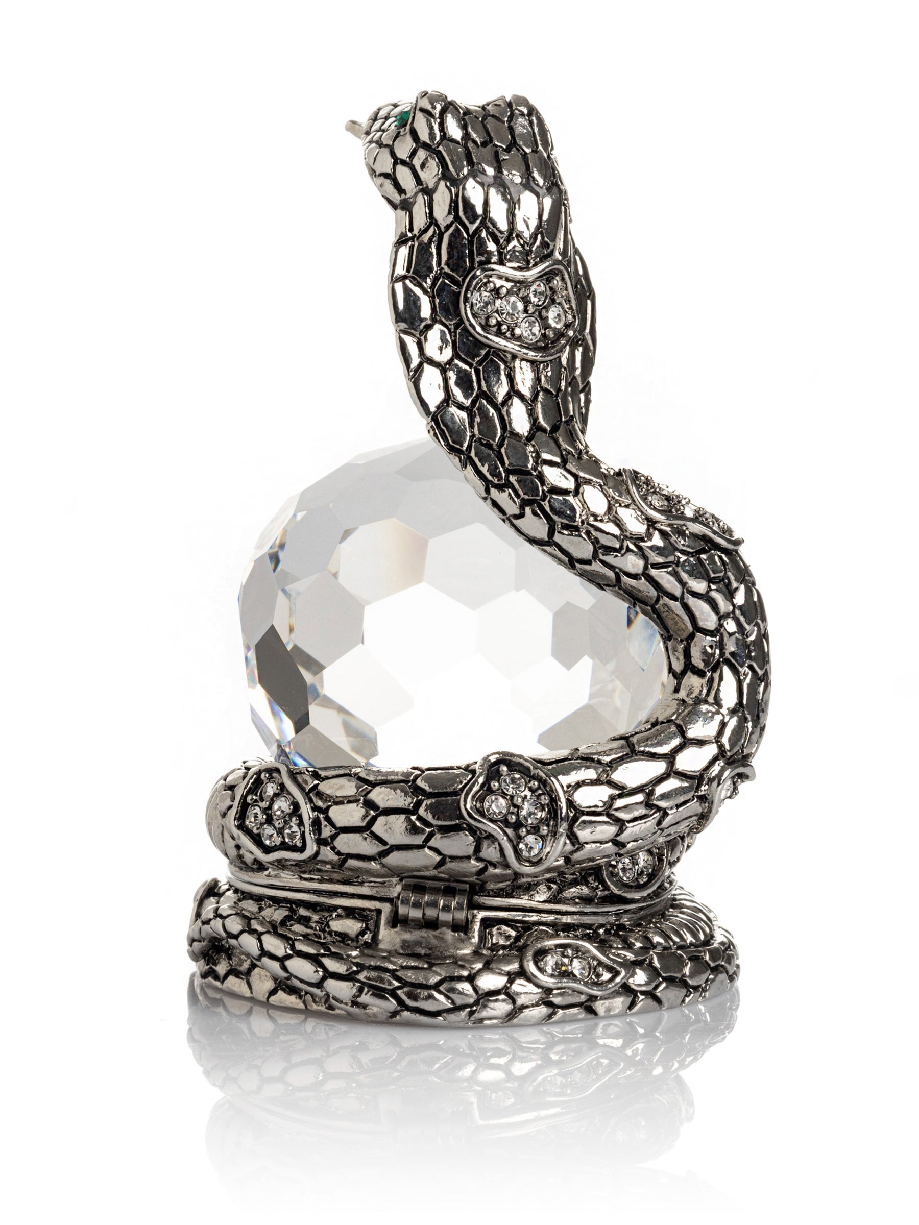 Snake Holding Crystal