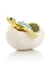 Keren Kopal Turtle Hatching from an Egg