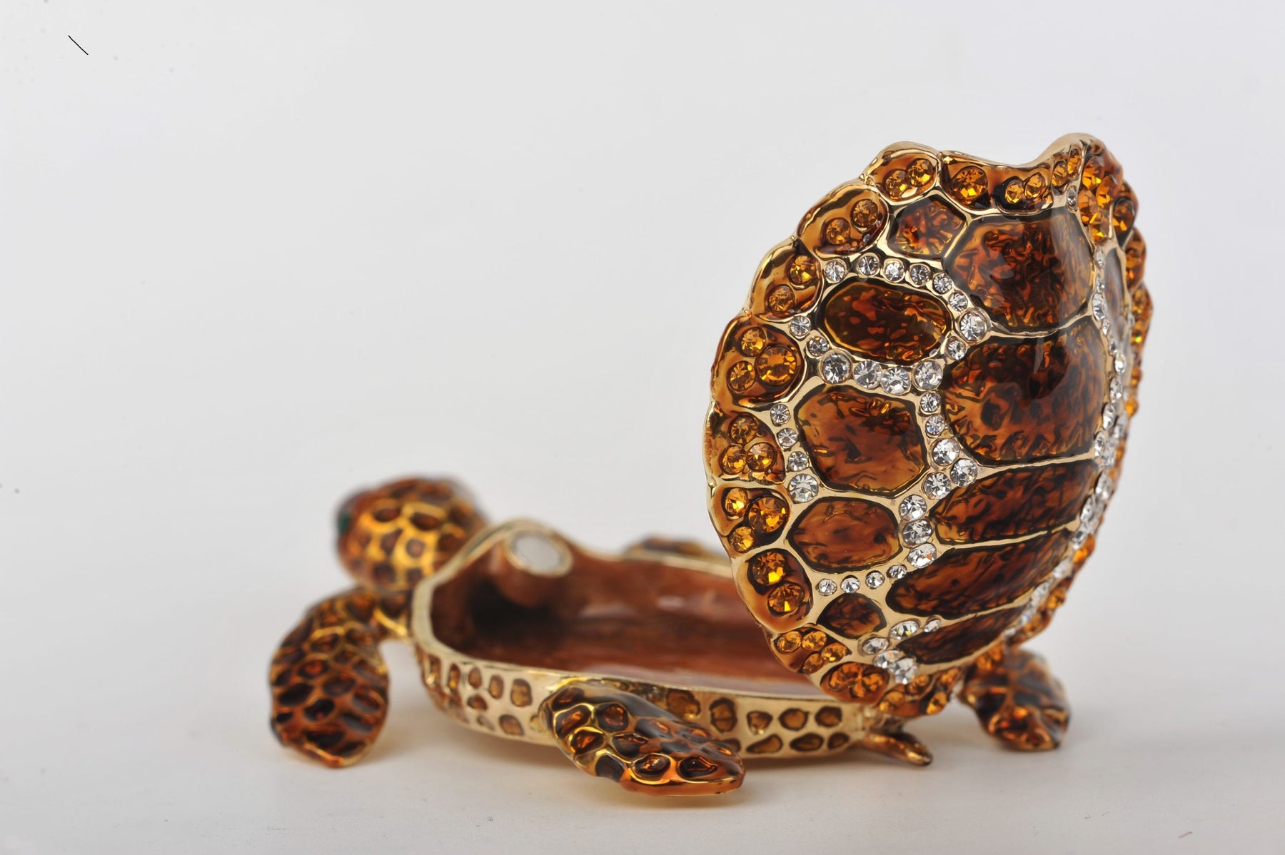 Amber Sea Turtle