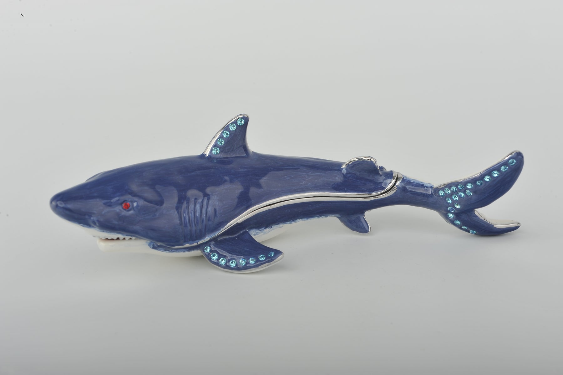 Blauer Hai