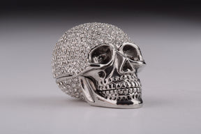 Silver Decorated Skull